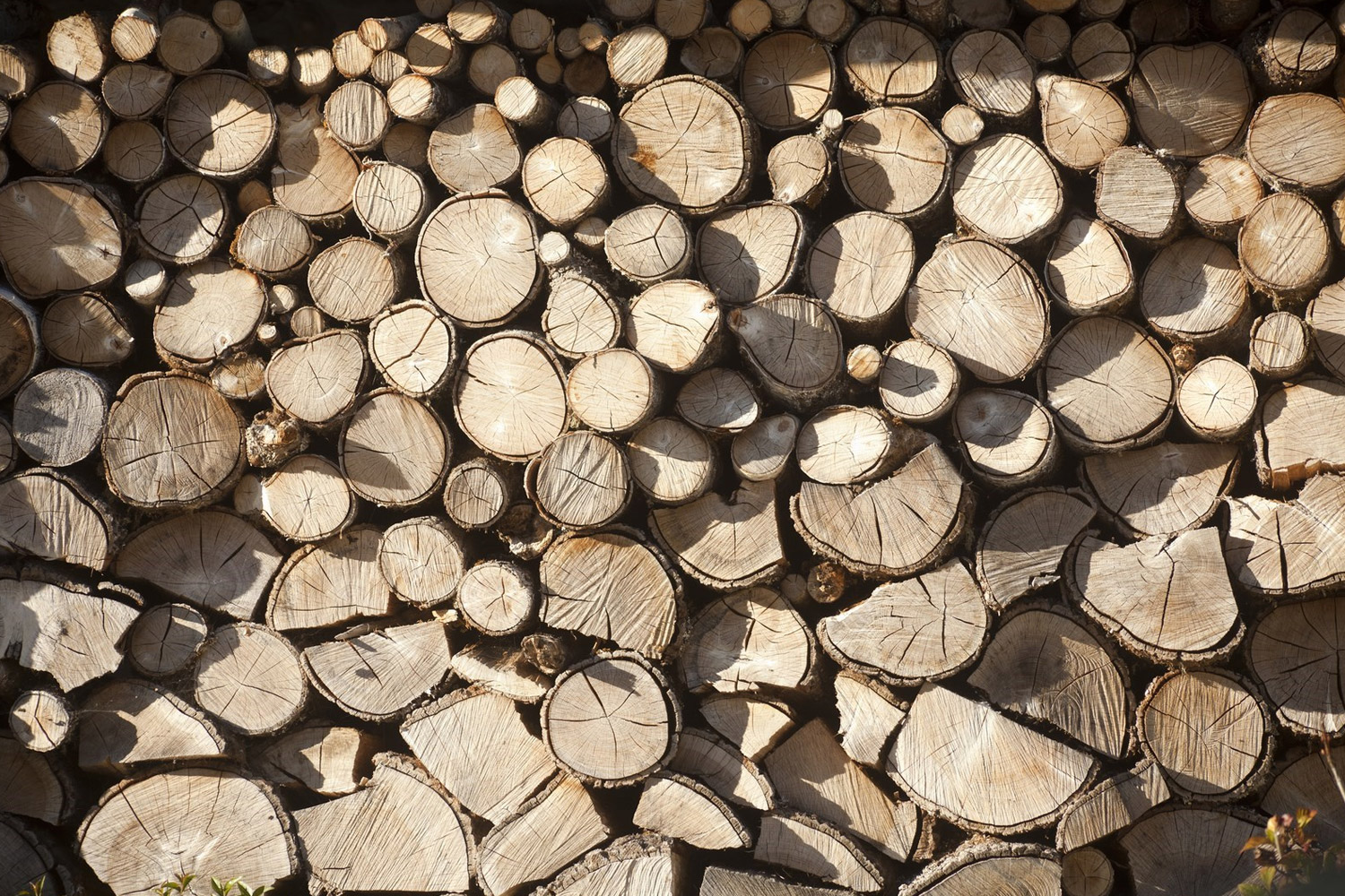 El precio de la madera se dispara con una subida del 50 Profoas